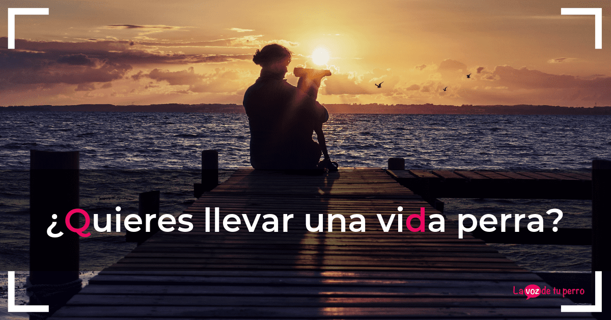 ¿Quieres llevar una vida perra?. La voz de tu perro