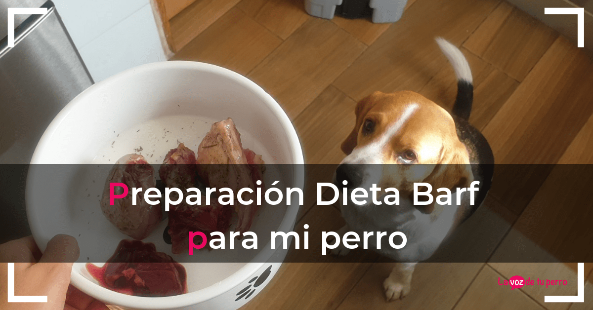 Preparación dieta barf para mi perro. La voz de tu perro