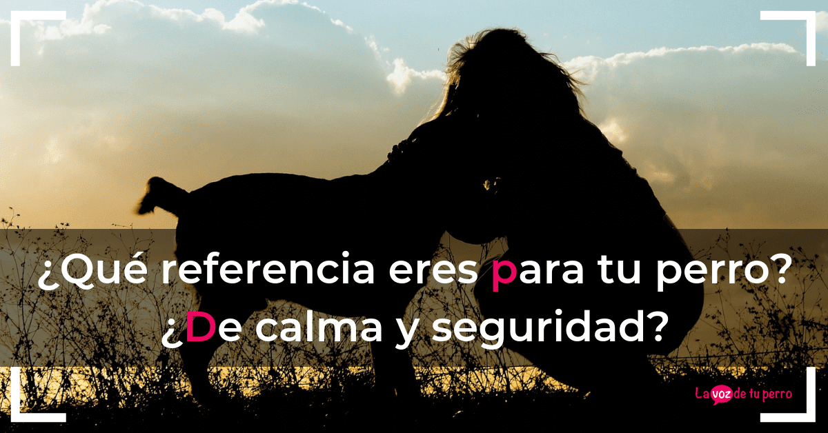 ¿Qué referencia eres para tu perro? ¿De calma y seguridad?.La voz de tu perro