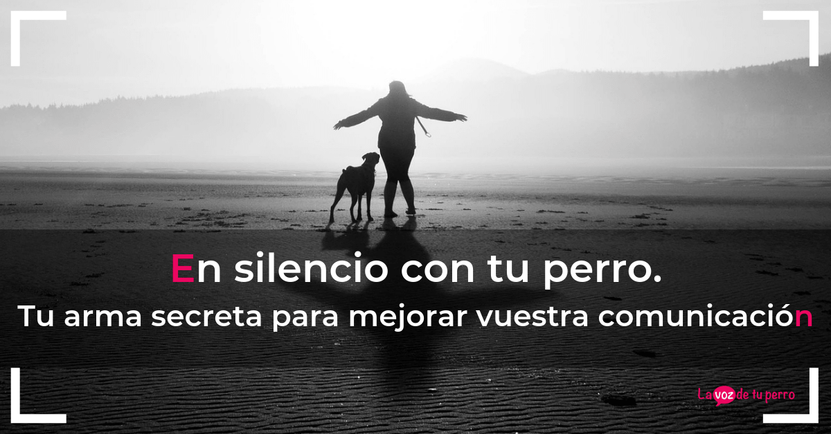 En-silencio-con-tu-perro.-Tu-arma-secreta-para-mejorar-vuestra-comunicación. La Voz de tu perro