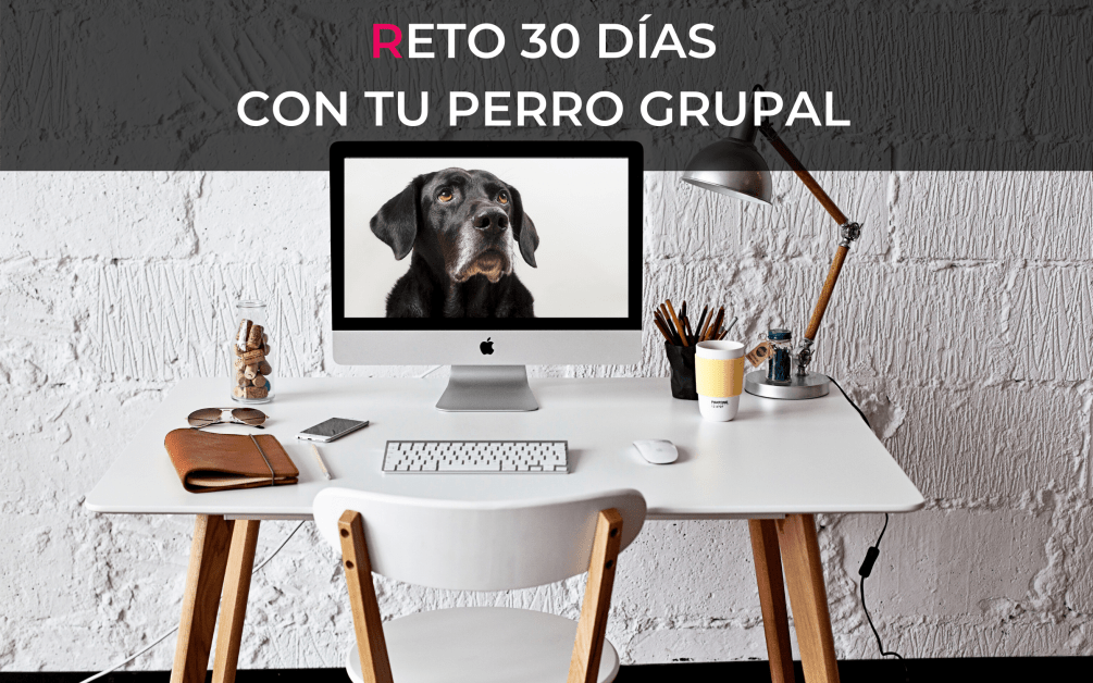 Reto 30 días con tu perro grupal..La voz de tu perro Reto 30 días con tu perro grupal..La voz de tu perro