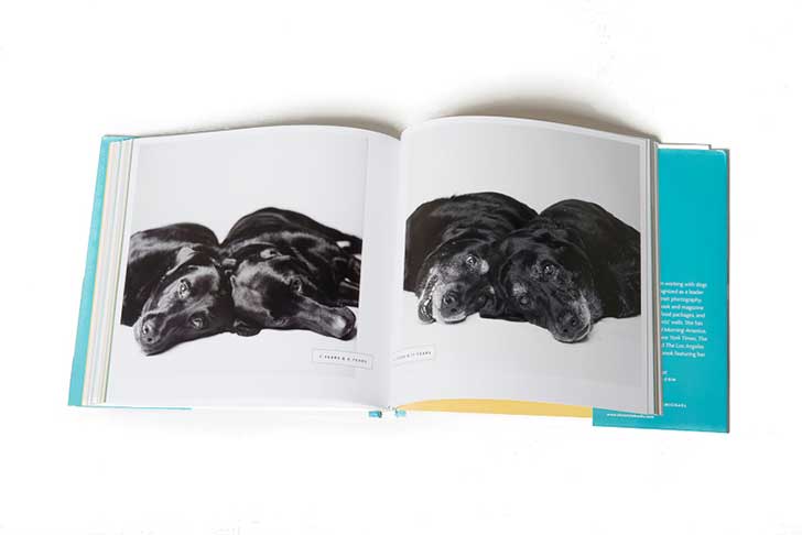 Libro de Amanda-Jones-dog years,faithful friends, then and now Libro de Amanda-Jones-dog years,faithful friends, then and now