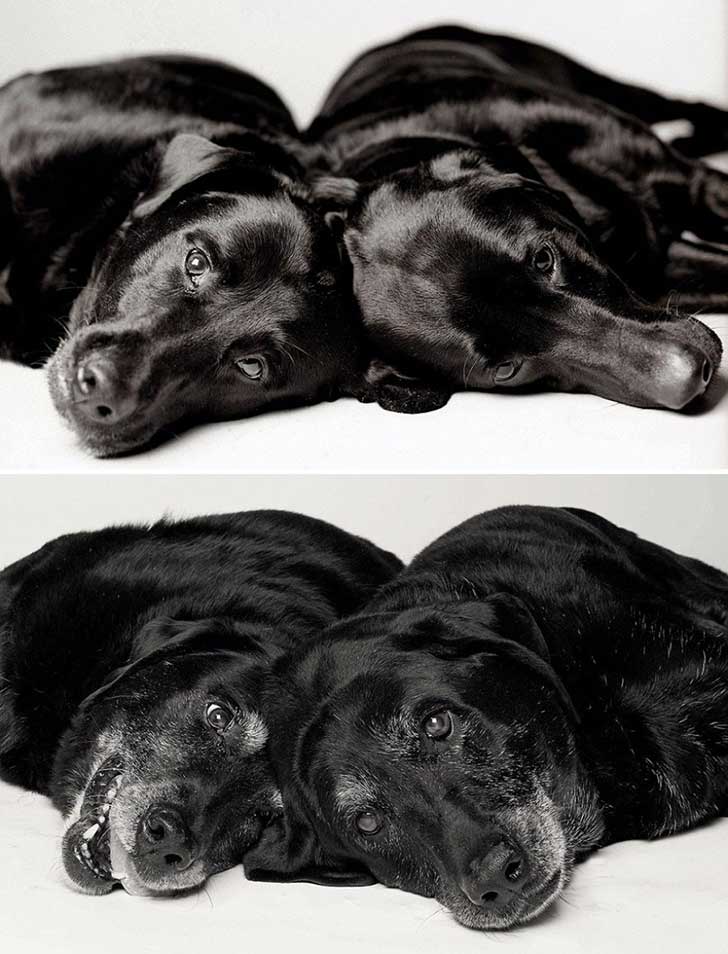 ¿Cómo será tu viejo?Maddie y Ellie de 7 y 6 años, a 14 y 13 ¿Cómo será tu viejo?Maddie y Ellie de 7 y 6 años, a 14 y 13