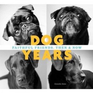 Portada libro Amanda Jones Dog years,faithful friends, then and now Portada libro Amanda Jones Dog years,faithful friends, then and now