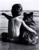 niño y perro juntos mirando al mar. La voz de tu perro niño y perro juntos mirando al mar. La voz de tu perro