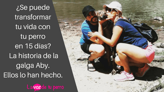 Transformar tu vida con tu perro en 15 días-.la historia de la galga Aby