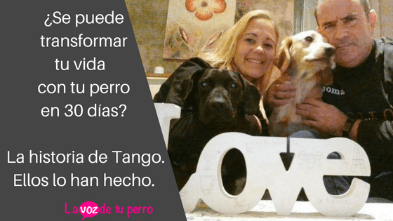 Transforma tu vida con tu perro en 30 días-.la historia de Tango. Ellos lo han hecho